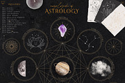 Encyclopedia of Astrology, an Animal Illustration by Julia Dreams (Thumbnail 2 of 14)