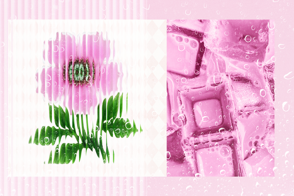 Blown Glass Flowers Collection, an Object Graphic by The Flossy Finch (Photo 11 of 15)