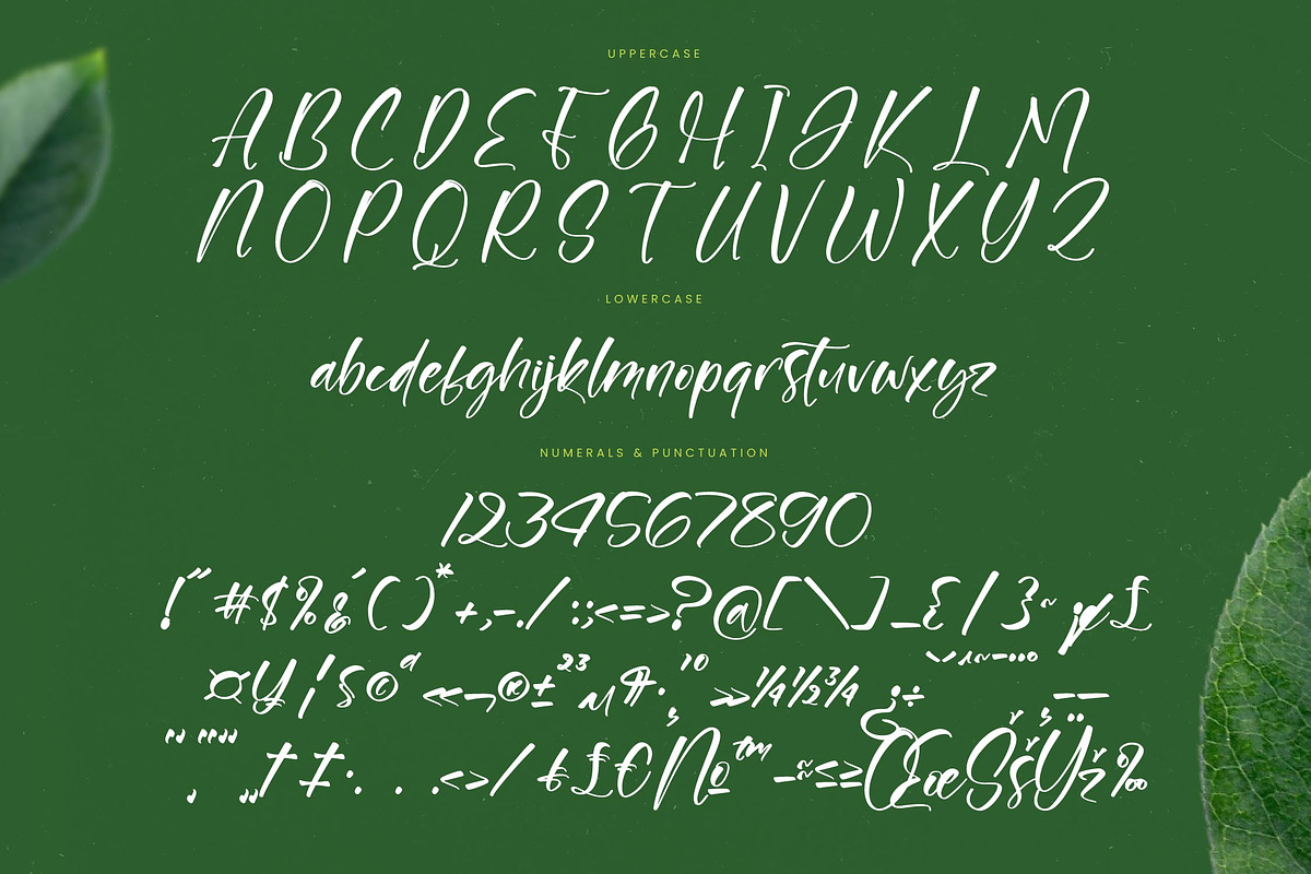 Junglend Bold Handwritten Font, a Script Font by stylishtype.co (Photo 18 of 20)
