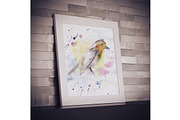 Watercolor illustration with bird, an Animal Illustration by Vavavka (Thumbnail 4 of 5)