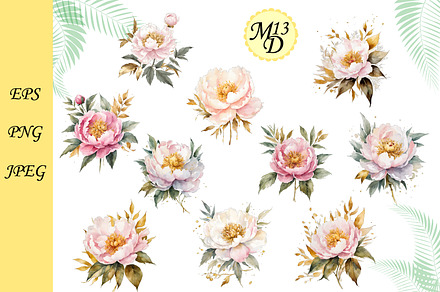 Set of 18 White-pink peony with gold
