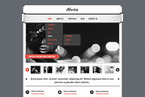 Novica PSD template