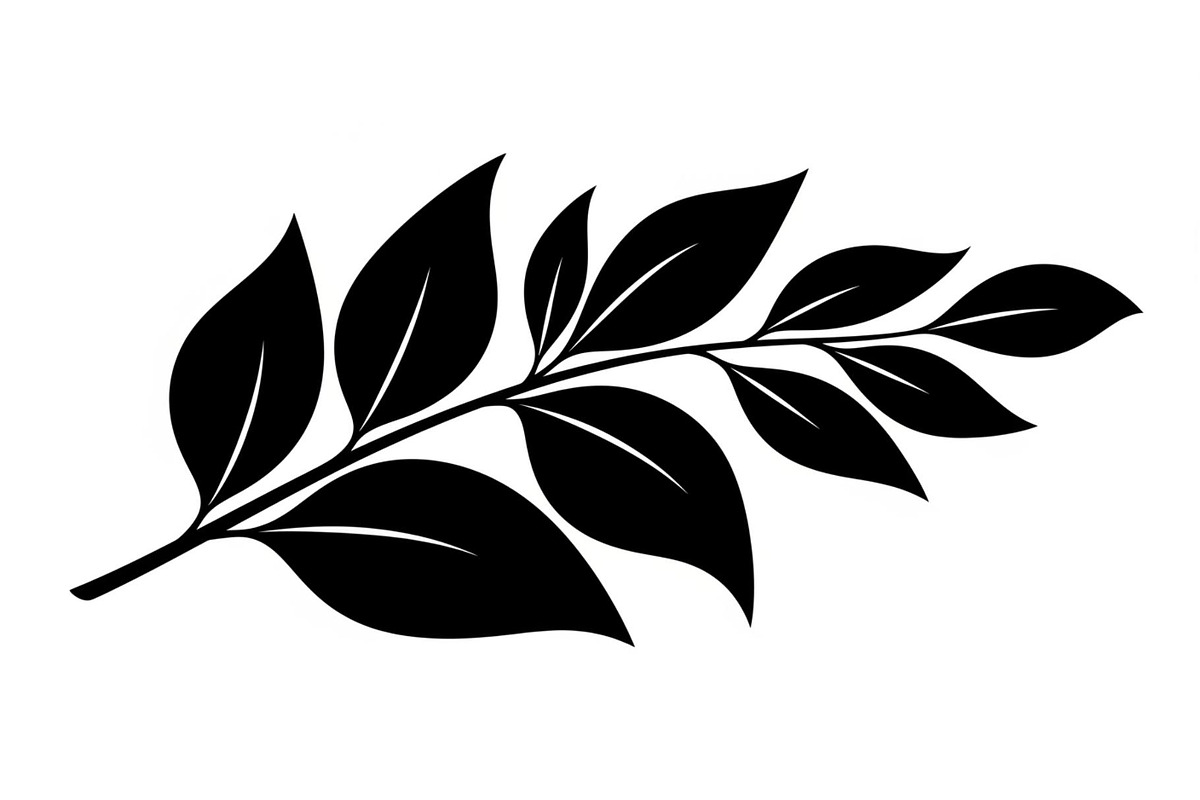 Botanical Leaf Silhouette Bundle, an Illustration by yasushie (Photo 13 of 51)