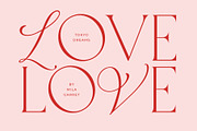Tokyo Dreams Display Ligature Serif, a Serif Font by Mila Garret (Thumbnail 2 of 28)