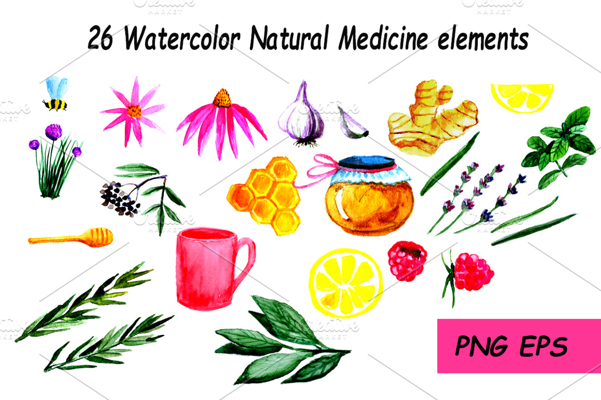 Natural Medicine Watercolor Set, a Food Illustration by Maria Zebroff (Photo 4 of 5)