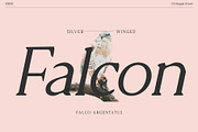 CS Reggie Drawn, a Serif Font by Craft Supply Co. (Thumbnail 6 of 8)