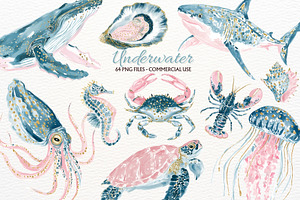 Undersea Ocean Animals PNG Clipart, an Animal Illustration by SugarCloudStudioArt