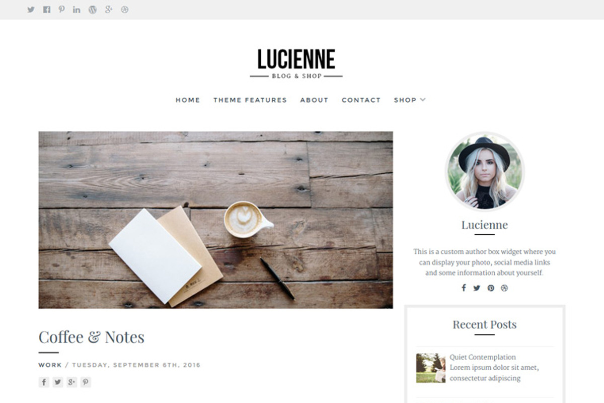 Lucienne / Blog & WooCommerce Theme, a WordPress Template by AlienWP (Photo 3 of 4)