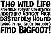Tiny Butler, a Sans Serif Font by Pink Broccoli (Thumbnail 2 of 3)
