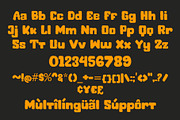 Laekar, a Serif Font by LetterStock (Thumbnail 6 of 6)