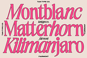 TAN-FAIRMONT DUO FONT, a Serif Font by TanType (Thumbnail 2 of 10)