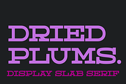 Dried Plums - Display Font, a Serif Font by Suolahti Type (Thumbnail 1 of 11)