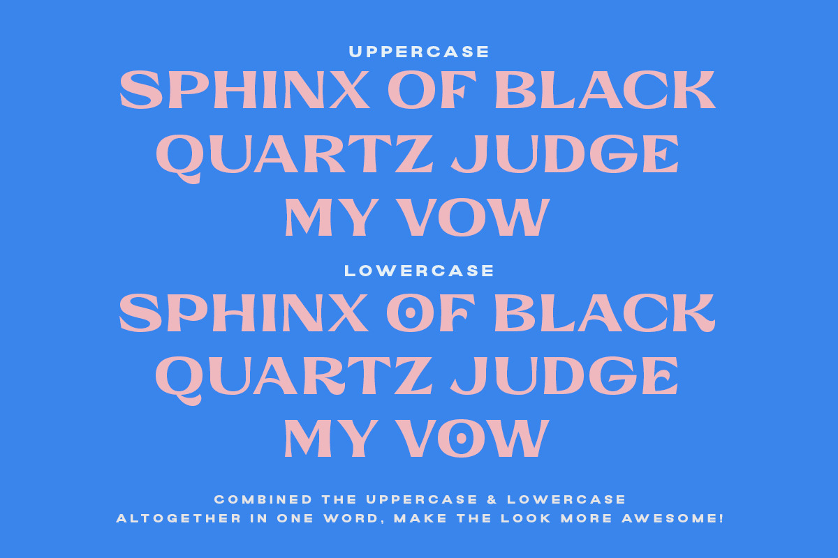 Evidance - Display Font, a Font by Letterhend Studio (Photo 2 of 11)