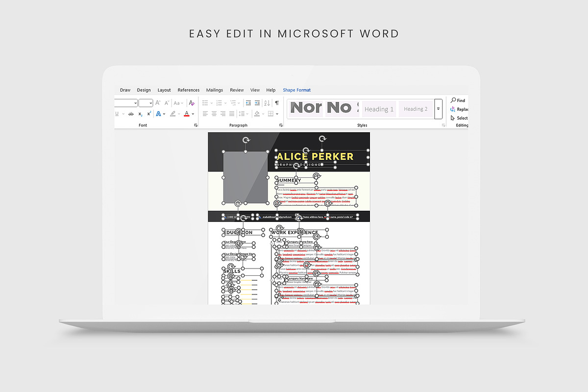 Resume / CV | Word & InDesign preview 6