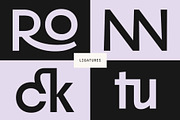 Girtyne - Modern Sans Family, a Sans Serif Font by Prioritype Co (Thumbnail 7 of 11)