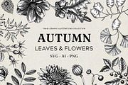 Autumn Leaves and Flowers Vector Set, an Object Graphic by Yevheniia (Thumbnail 1 of 11)