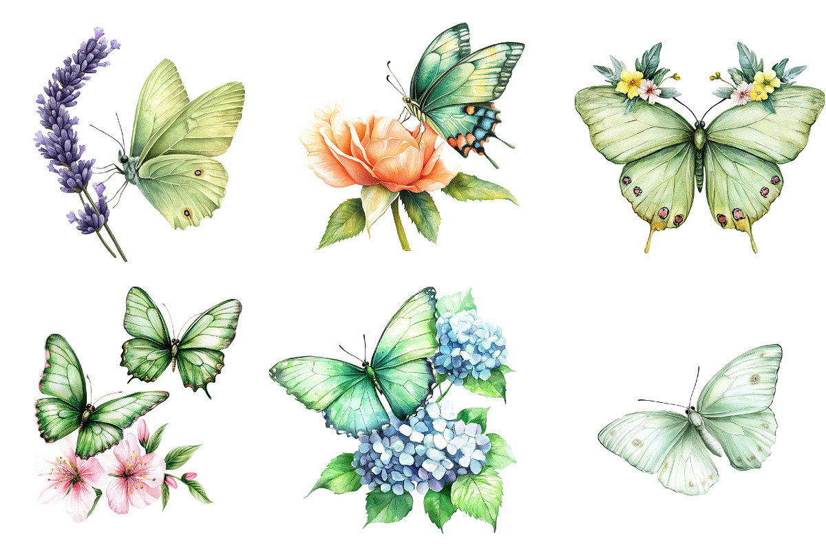 Watercolor Green Butterfly Floral, an Illustration by Watercolor design (Photo 3 of 5)