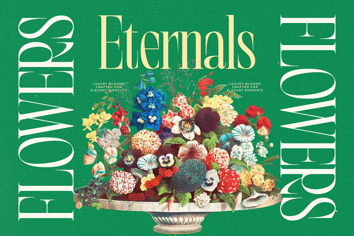 Bright Renew Modern Serif Display, a Serif Font by timelesstype.co (Photo 17 of 20)