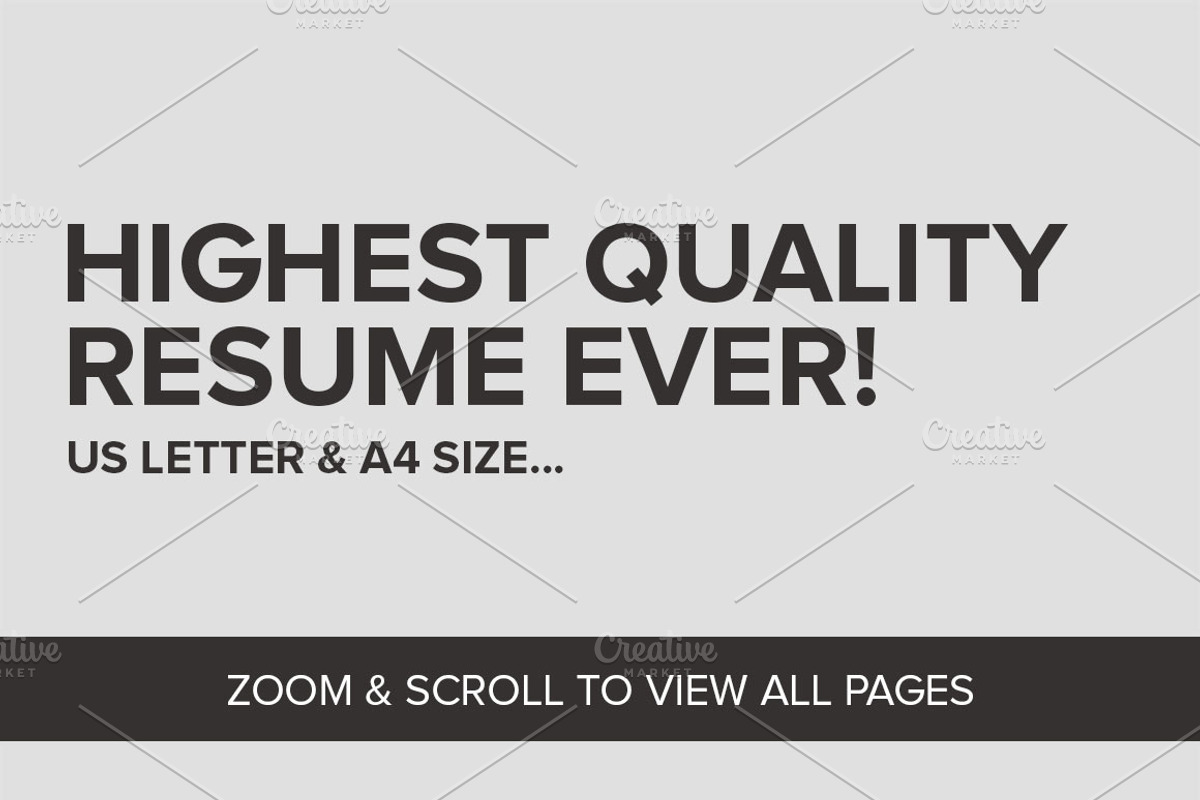 2 Pages Resume CV Pack - Lambert, a Resume Template by SNIPESCIENTIST (Photo 5 of 5)