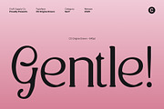 CS Origine Drawn, a Serif Font by Craft Supply Co. (Thumbnail 2 of 8)