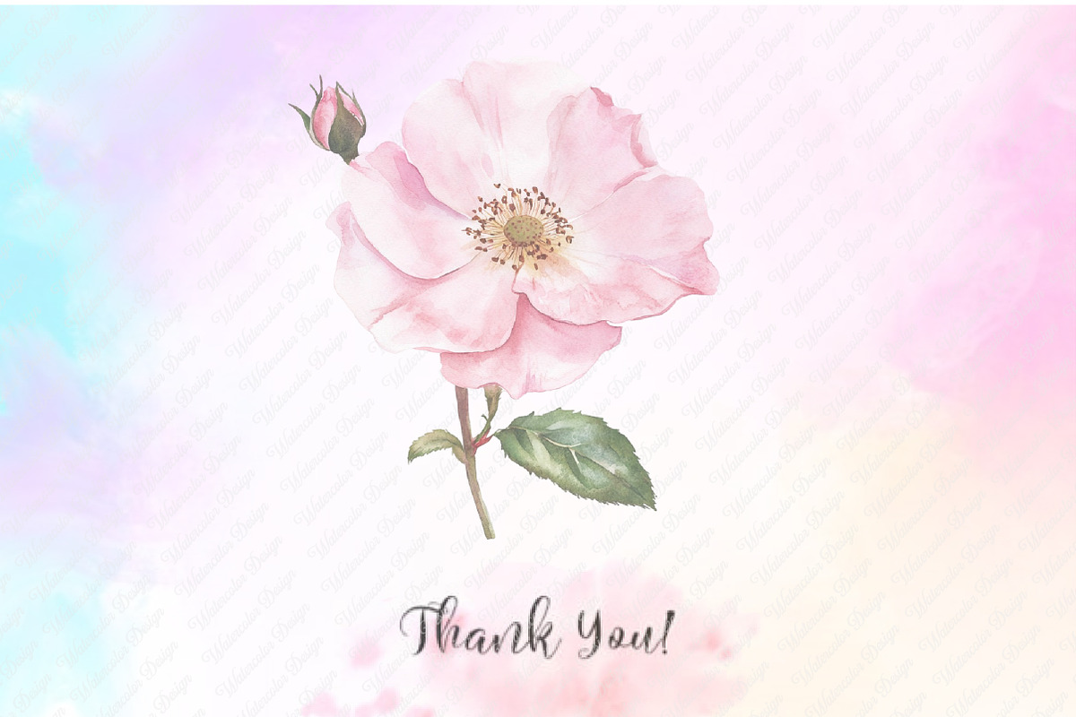 Watercolor Blush Wild Flowers, an Illustration by Watercolor design (Photo 9 of 12)