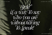 Netsera Calligraphic Serif Typeface, a Serif Font by SilverStag Type Foundry (Thumbnail 17 of 30)