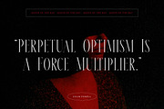 Meksron Modern Serif Font, a Serif Font by Letterena Studios (Thumbnail 3 of 15)