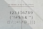 Nectaries, a Serif Font by Funtype (Thumbnail 14 of 16)