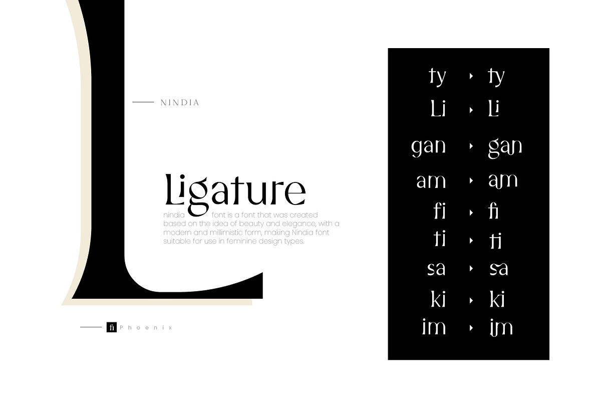 Nindia Font, a Serif Font by Phoenix Dungeon (Photo 9 of 9)
