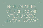 Zujin - Geometric Sans-Serif, a Font by Eotype Studio (Thumbnail 8 of 12)