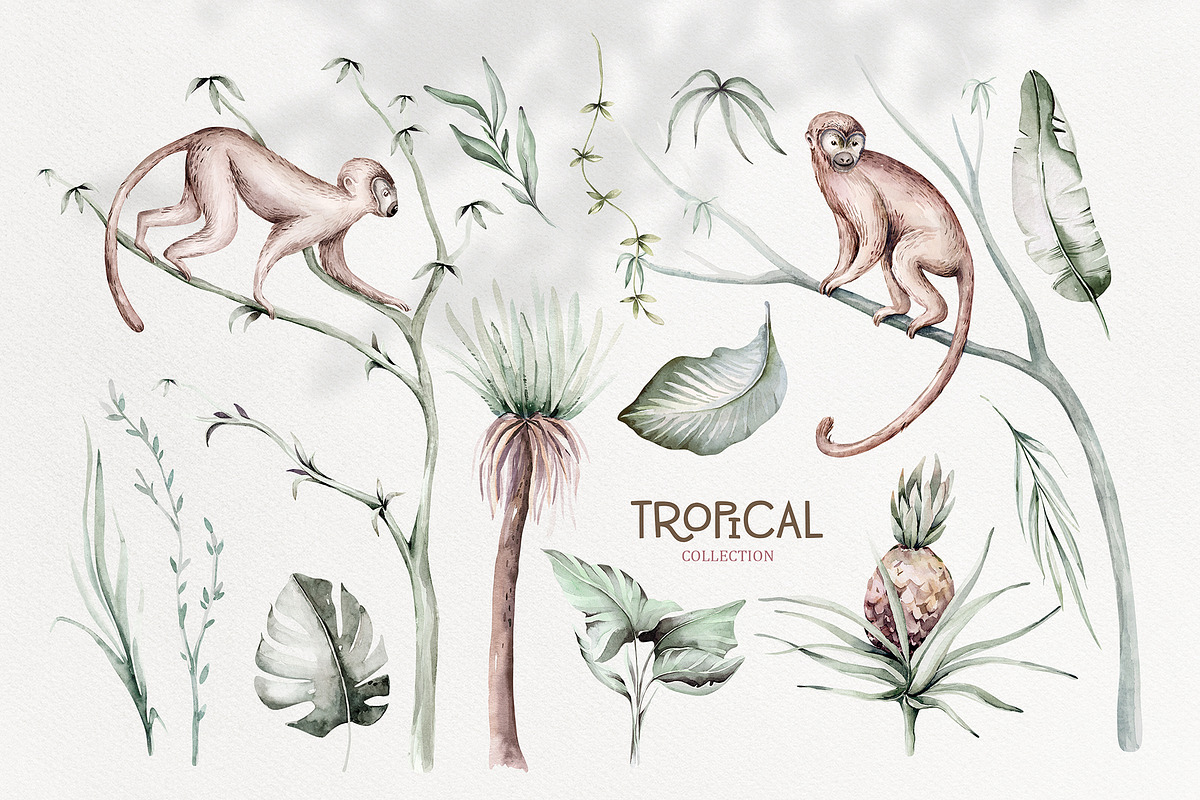 Tropical watercolor collection, an Animal Illustration by Peace ART (Photo 5 of 16)