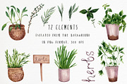 Watercolor herbs for the kitchen, a Food Illustration by a_ptichkina (Thumbnail 2 of 2)