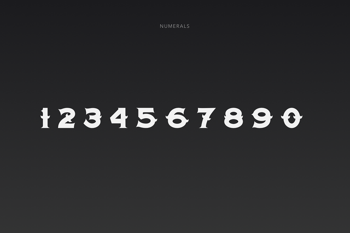 HUXLEY - Vintage Serif Font, a Serif Font by vix.vix (Photo 4 of 8)