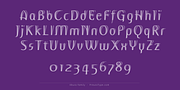 Ebura PRO, a Sans Serif Font by preussTYPE (Thumbnail 4 of 10)