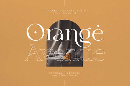 Orange Avenue | Ligature Serif Font