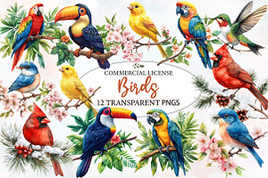 Birds on Branch Clipart Bundle, an Illustration by Designworld