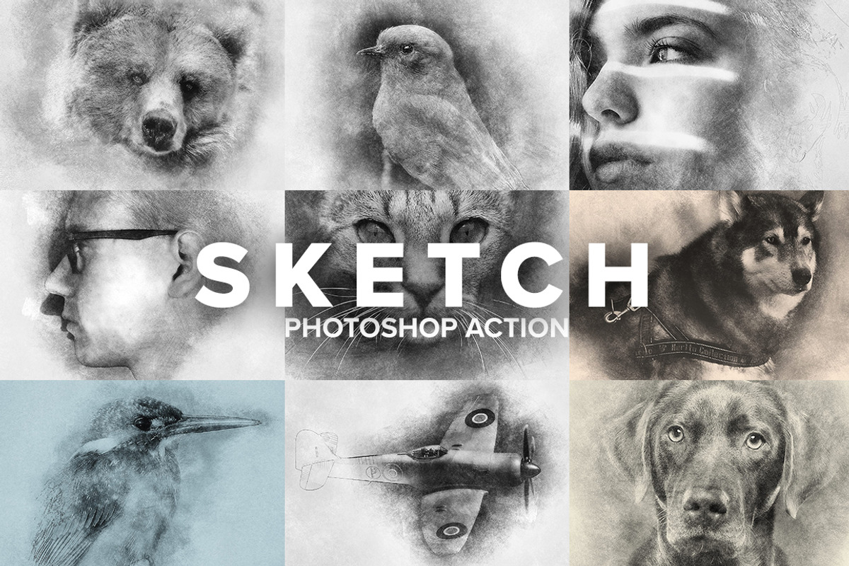 Sketch Photoshop Action, an Action Add-On by Sevenstyles (Photo 1 of 22)