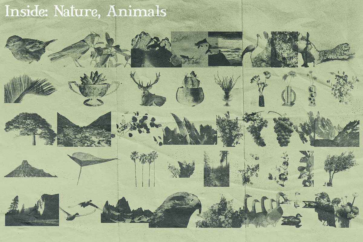 1350+ True Halftone Collection, an Object Graphic by bbymedia.store (Photo 8 of 18)