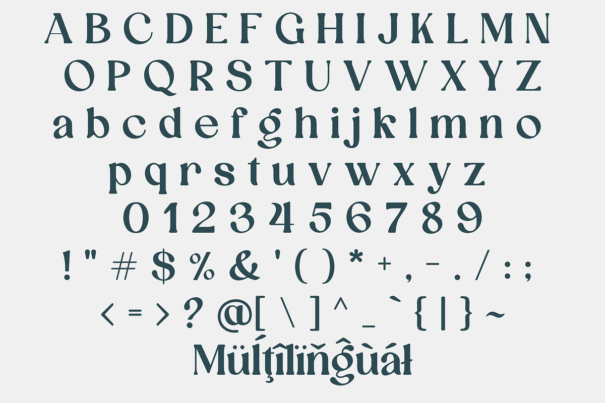 Aexori - Serif Font Family, a Serif Font by NDNL Studio (Photo 11 of 12)