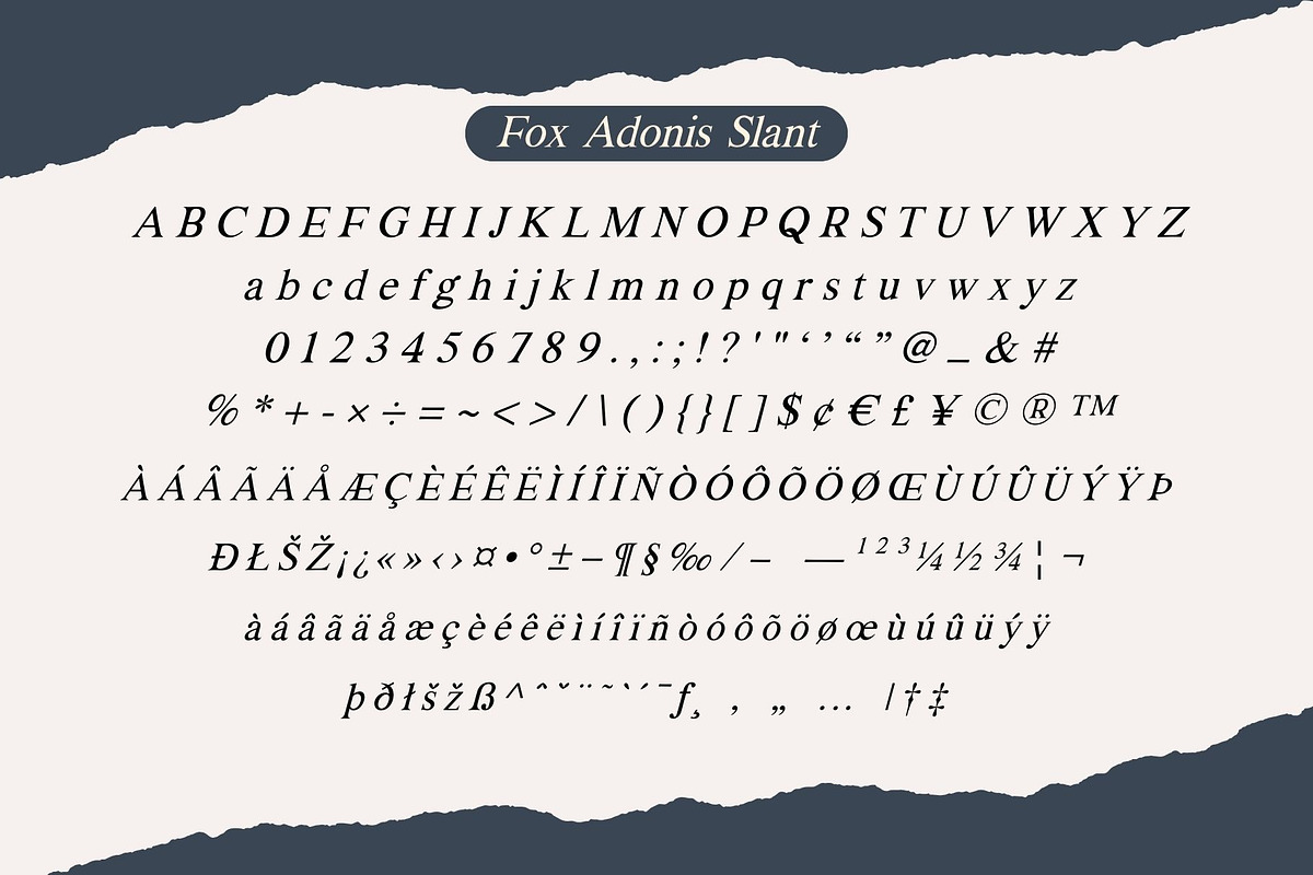 Fox Adonis: 4 Font Styles, a Serif Font by Fox7 By Rattana (Photo 9 of 13)