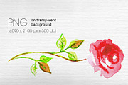 Set of watercolor flowers, a Decorative Illustration by ARSCOR (Thumbnail 9 of 11)