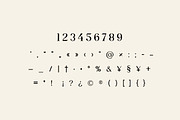 Prestige Display Serif Display Font, a Serif Font by UICreative (Thumbnail 3 of 13)