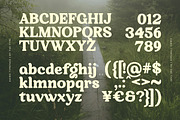 Kairo - Stylized Rounded Font, a Serif Font by The_Type (Thumbnail 11 of 12)
