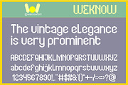 Classic Vintage Font, a Sans Serif Font by weknow (Thumbnail 3 of 9)