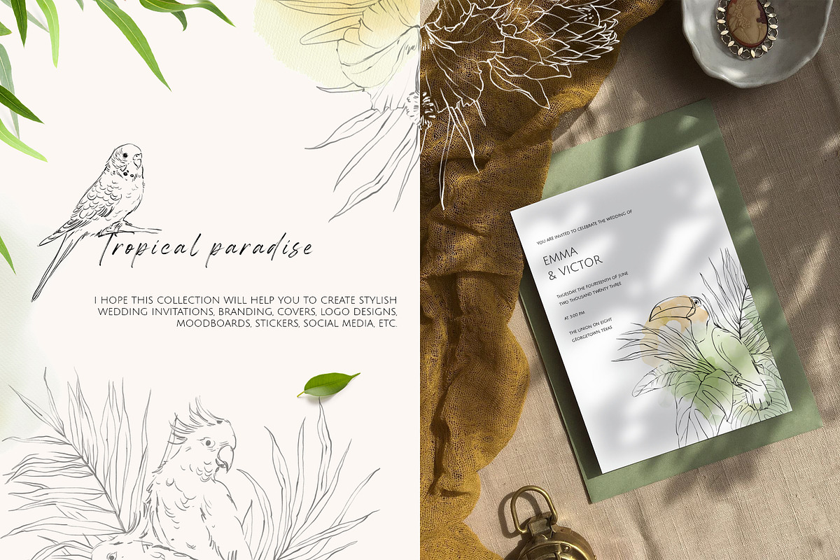 TROPICAL PARADISE birds and plants, a Decorative Illustration by Yuliia Lashevska (Photo 2 of 14)