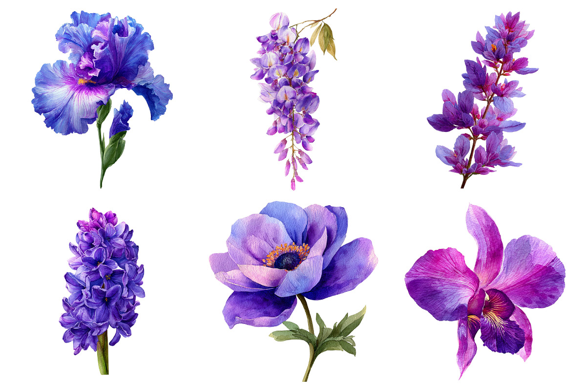 Watercolor Flower Clipart, an Illustration by Daily.Designs (Photo 3 of 5)