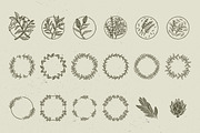 50+ Hand Drawn Floral Logo & Badges, a Branding & Logo Template by Wortfice (Thumbnail 3 of 9)