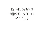 Zamoneva Elegant Serif Display Font, a Serif Font by UICreative (Thumbnail 3 of 13)