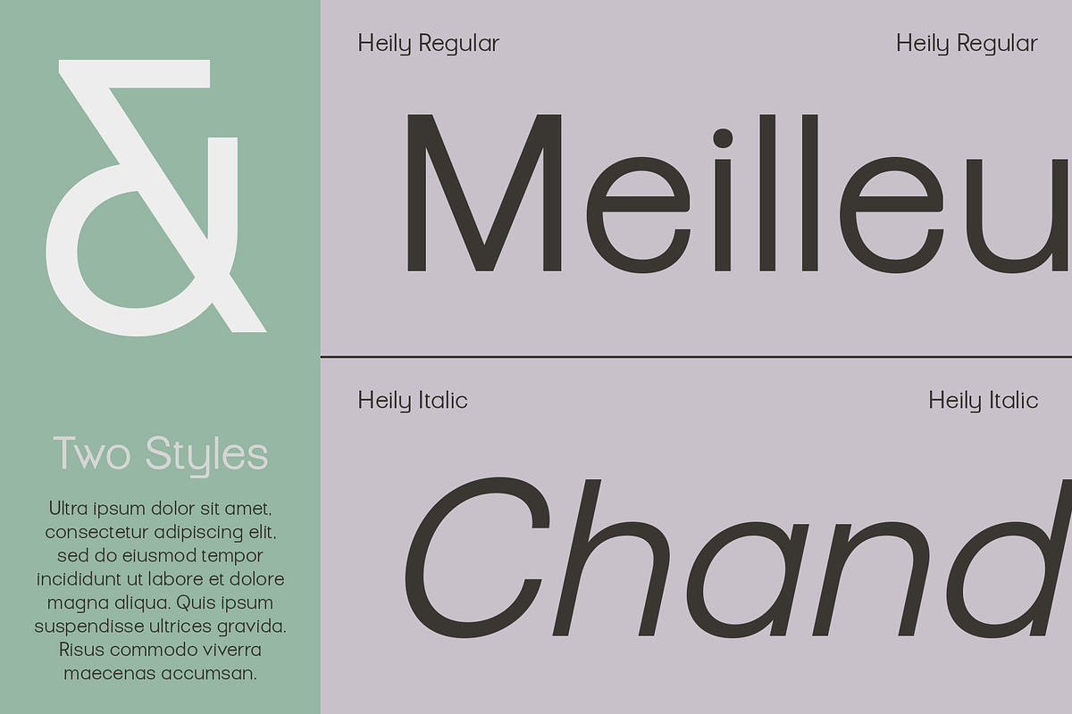 Heily – Grotesque Sans Serif, a Sans Serif Font by Craft Supply Co. (Photo 4 of 8)