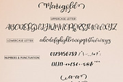 Marigold, a Handwritten Font by BilberryCreates (Thumbnail 8 of 8)